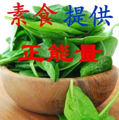 素食养生强身养神