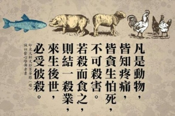 �����ʳ��ʳ��ʧ