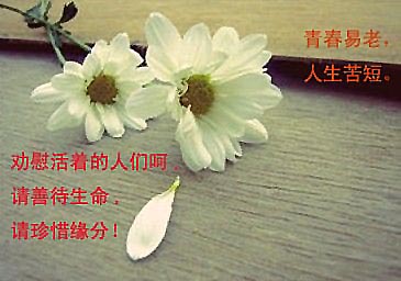 色情泛滥对现代人的恶毒伤害(多图) 色情泛滥对现代人的恶毒伤害(多图)