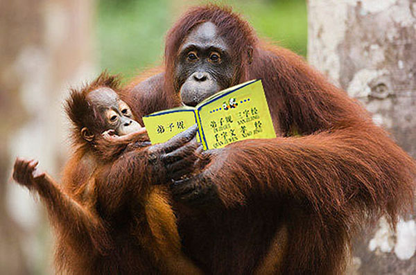 色情泛滥对现代人的恶毒伤害(多图) 色情泛滥对现代人的恶毒伤害(多图)